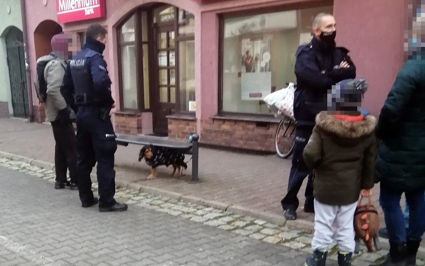 Głogów: Na Grodzkiej przy przedszkolu pies gryzł przechodniów. Interweniowała policja