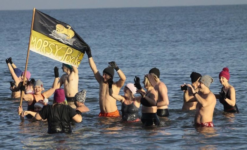 Morsy Puck zapraszają do wspólnego pływania