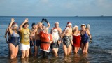 Morsy w strojach św. Mikołaja na plaży w Gdańsku Jelitkowie [zdjęcia, wideo]