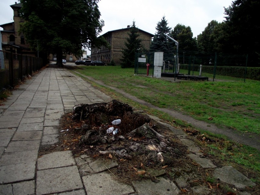 Dlaczego domowe śmieci trafiają do koszy w mieście, na cmentarzu lub wyrzucane są na niezabudowane działki