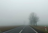 Uwaga na mgłę! Wydano ostrzeżenie meteorologiczne dla powiatu kutnowskiego