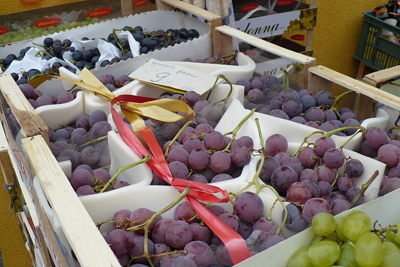 Lubuskie winogrona
