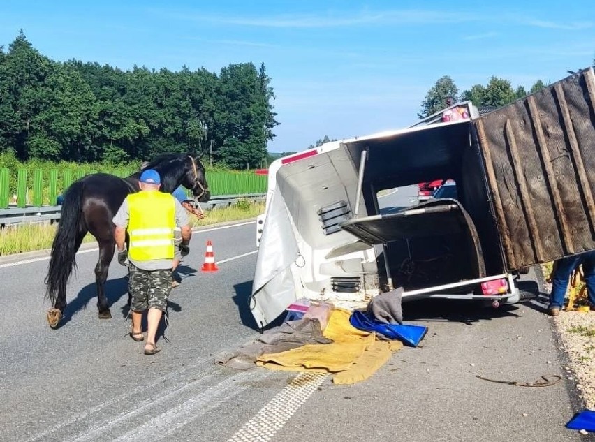 Przyczepa z koniem wywróciła się na ruchliwą drogę