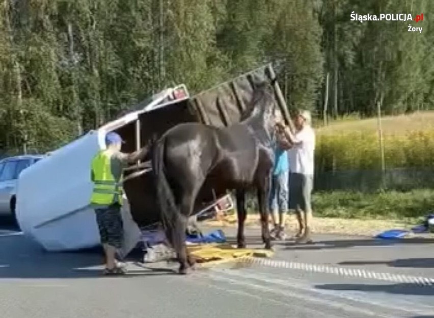 Przyczepa z koniem wywróciła się na ruchliwą drogę