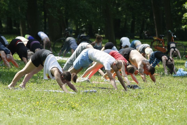 Zajęcia w parku na Zdrowiu prowadzą instruktorzy z łódzkiej szkoły Hello Yoga