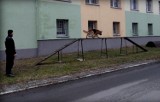 Szkolenie dla przewodników psów policyjnych w Kędzierzynie-Koźlu [zdjęcia] 