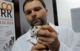 Uniwersytet Przyrodniczy: Na ratunek małym ssakom (ZDJĘCIA)