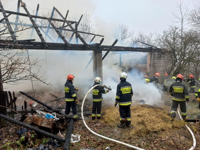Pożar wybuchł we wtorek przed południem. Ogień strawił stodołę w Dąbrówce Szczepanowskiej