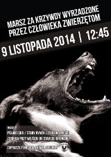 Marsz nie milczenia w Poznaniu: Za krzywdy wyrządzone przez człowieka zwierzętom