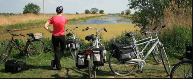 Stowarzyszenie “Kochamy Żuławy” zaprasza na wycieczkę rowerową po gminie Ostaszewo. Przewodnikiem będzie Anna Krokosz.