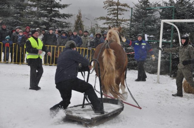 Organizatorzy ze względów bezpieczeństwa uczestników imprezy i zwierząt podjęli decyzję o odwołaniu zawodów Kaszëbskô Szlópa 2017.