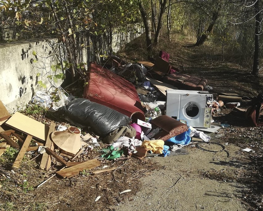 Straż miejska w Kaliszu namierzyła śmieciarza