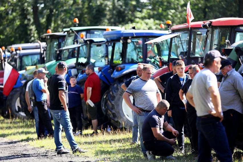 Protest rolników w Piotrkowie. Żądają wsparcia finansowego i zwiększenia odstrzału dzików [ZDJĘCIA, WIDEO]