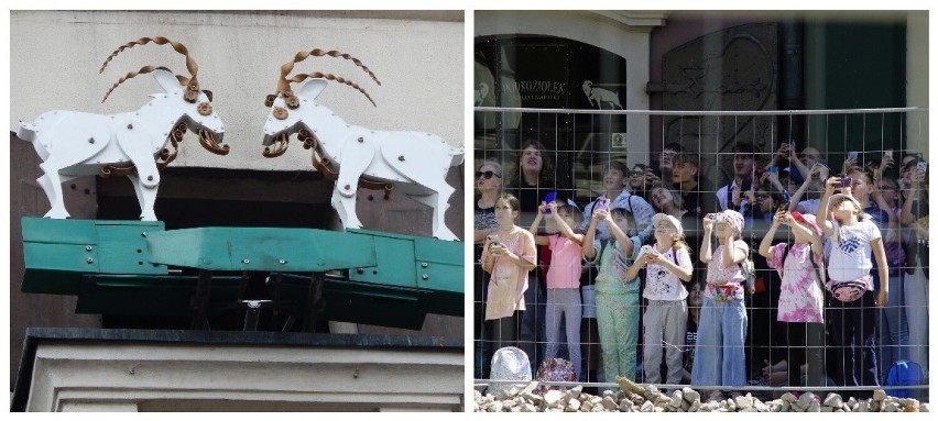 Turyści stłoczeni na chodniku przed ratuszem na Starym...