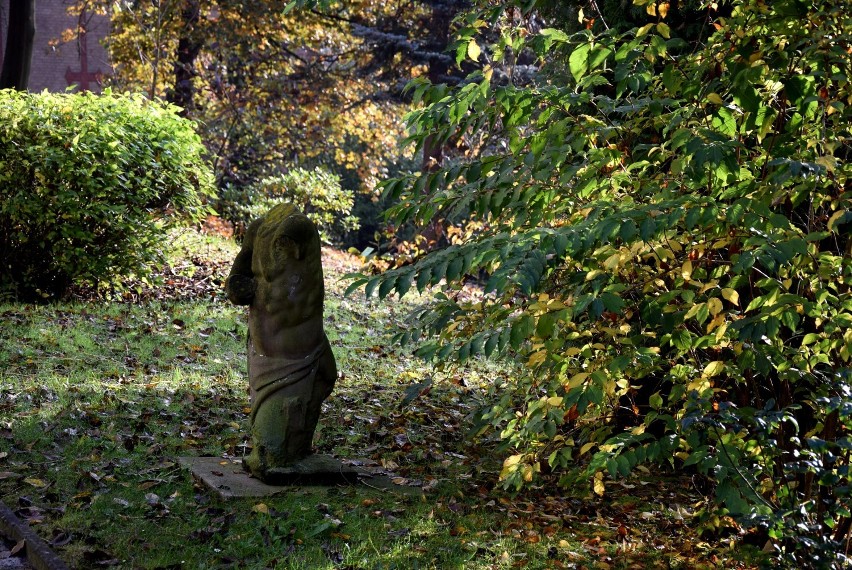 Taka będzie jesień w ogrodzie Muzeum Lubuskiego w Gorzowie