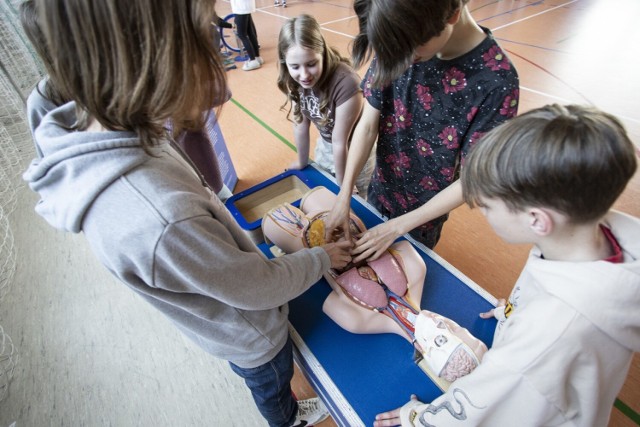 Sporym zainteresowaniem dzieci i młodzieży cieszy się „człowiek-układanka”, dostępny w Naukobusie.