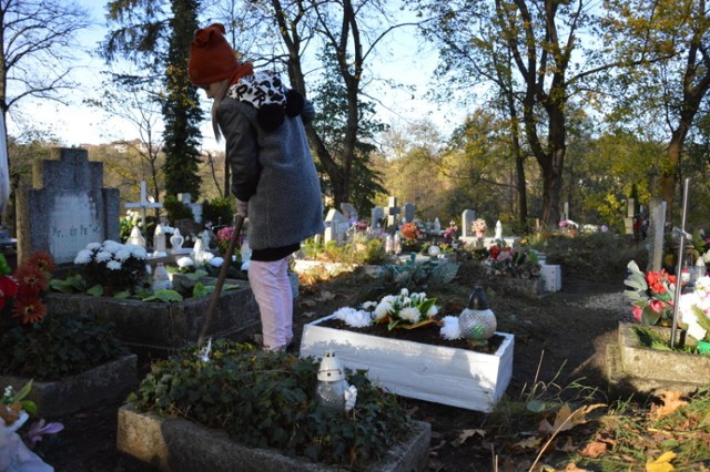 Kornelia z Bojana z babcią i dziadkiem sprzątała na żukowskim cmentarzu