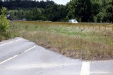 Nieczynna droga w Legnicy. Fragment obwodnicy pozostał w lesie, zobaczcie aktualne zdjęcia