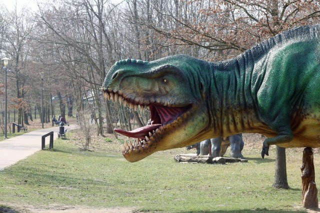 W Parku Wrocławskim w Lubinie można oglądać naturalnej wielkości figury dinozaurów. Jest też kilka placów zabaw.