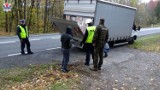 Policjanci z Kraśnika i Straż Leśna Nadleśnictwa Kraśnik wspólnie przeciw kradzieży i nielegalnej wycince drzew - akcja "Stroisz" 
