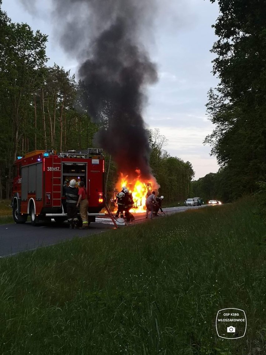 Leszno. Pożar busa po zderzeniu z jeleniem pod Włoszakowicami [ZDJĘCIA]