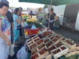 Takie są ceny warzyw, owoców i ziół na targowisku przy ul. Sokołowskiej w Golubiu-Dobrzyniu. Zobacz raport cenowy 