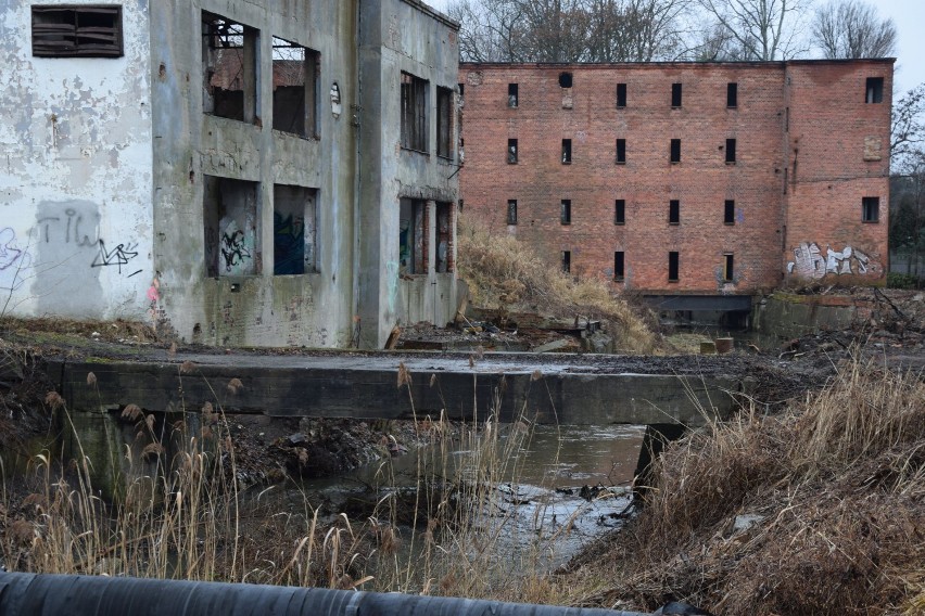 Gdyby tak wyremontować te wszystkie miejsca i poprowadzić w...