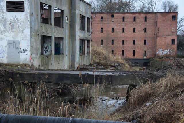 Gdyby tak wyremontować te wszystkie miejsca i poprowadzić w nich działalność usługową, zyskałyby uznanie i służyłyby mieszkańcom. Dziesięć miejsc w Nowej Soli czeka na swój lepszy czas.