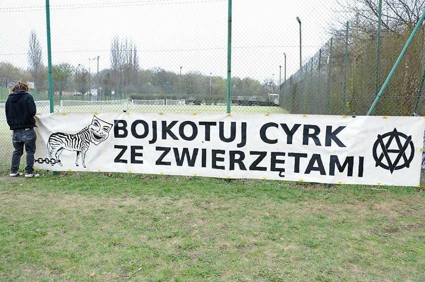 Cyrk Zalewski - Protestowali w obronie zwierząt [ZDJĘCIA]