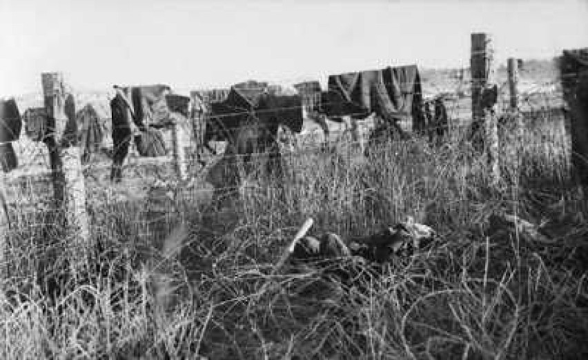 Poranek, 5 sierpnia 1944 roku, odsłonił makabryczny widok...