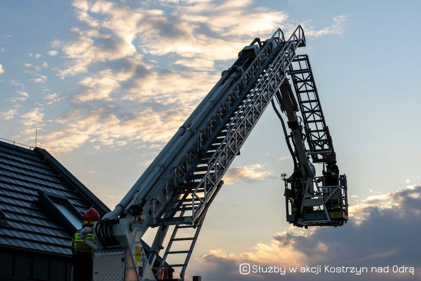 Gołąb utknął między dachem a panelami fotowoltaicznymi....