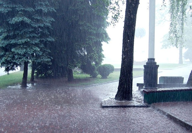 Źródło: http://commons.wikimedia.org/wiki/File:Heavy_Rain.jpg