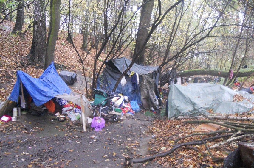 Obozowiska bezdomnych w Jastrzębiu: pod wiaduktem na al...