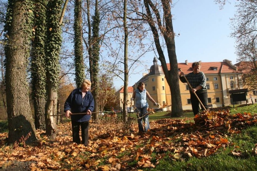 Rudy słyną z kolejki wąskotorowej, bazyliki, cysterskiego...