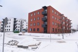 Mieszkanie Plus w Toruniu. Urzędnicy sprawdzą zdolność czynszową 949 rodzin