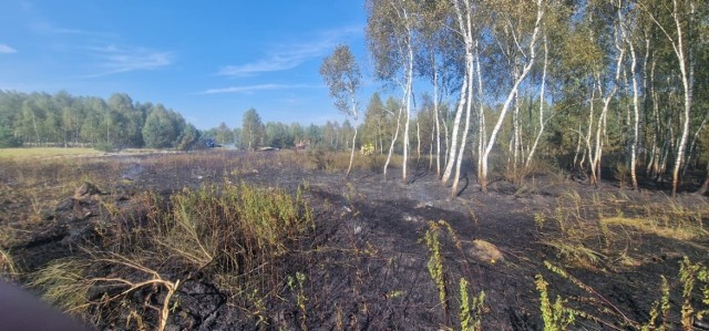 Przybyli na miejsce strażacy ogień zlokalizowali w czterech punktach znajdujących się blisko siebie. Pożar został opanowany. Trwa dogaszanie