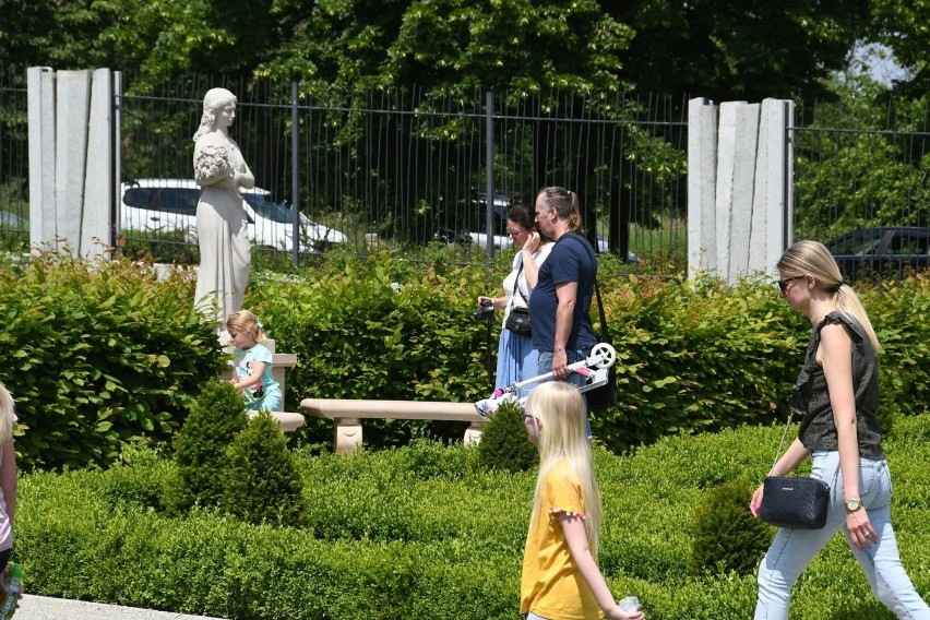 Ogród Botaniczny w Kielcach za darmo! Mnóstwo zwiedzających i atrakcji z okazji Dnia Dziecka [WIDEO, ZDJĘCIA]