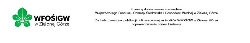 Włączmy zielone światło dla zielonego transportu