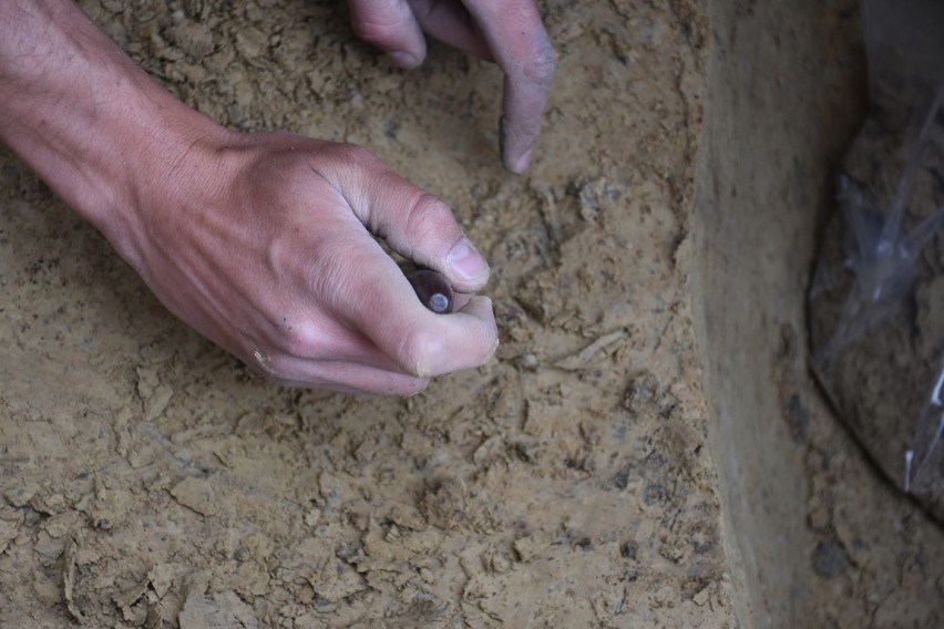 Bochnia. Podczas badań archeologicznych odkryto ślady obecności człowieka sprzed 10-12 tys. lat
