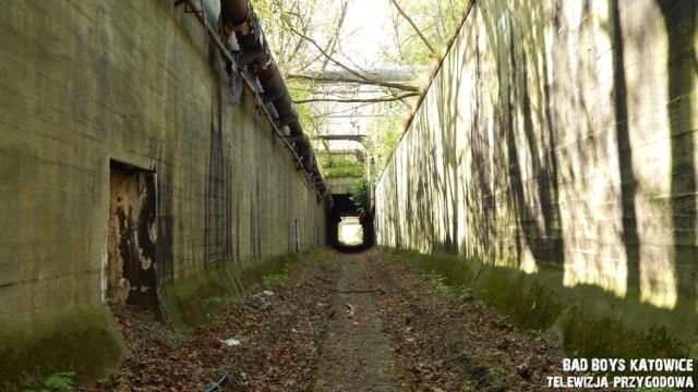 Niezwykły tunel kolei piaskowej, o którym wiedzą nieliczni.
Zobacz kolejne zdjęcia. Przesuwaj zdjęcia w prawo - naciśnij strzałkę lub przycisk NASTĘPNE