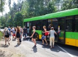 Koszmarnie zatłoczone autobusy do Strzeszynka
