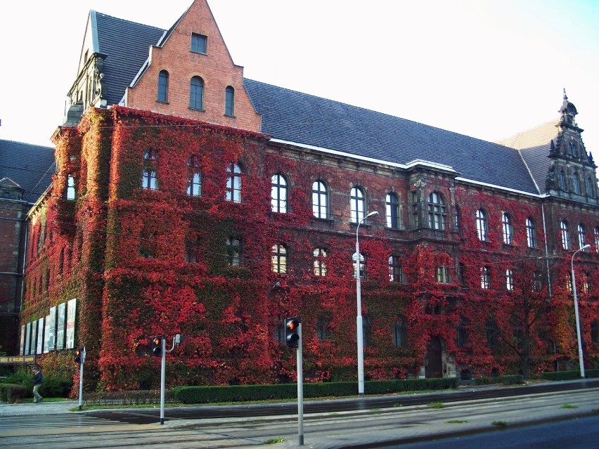 Muzeum Narodowe we Wrocławiu. Fot. Marta Szloser