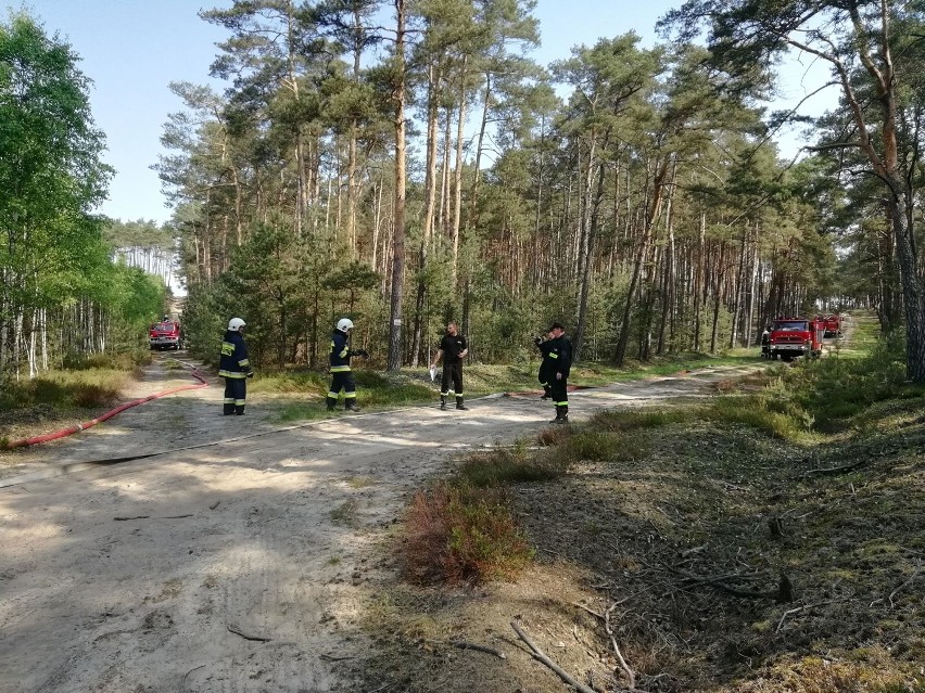 Strażacy ochotnicy z gminy Blizanów szkolili się na wypadek...