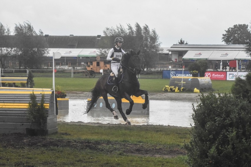 Gm. Szamotuły. Trwają zawody konne LOTTO Baborówko Horse Sale Show [ZDJĘCIA]