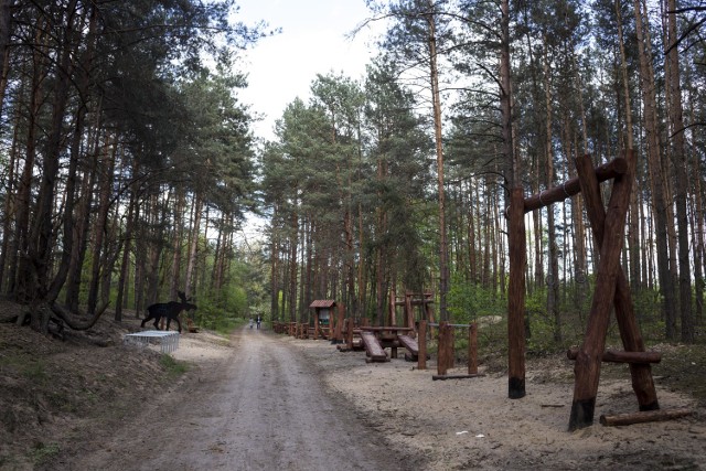 Strefa rekreacyjna dla dzieci, stojaki na rowery, siłownia plenerowa i... wysoki domek dla owadów. To wszystko jeszcze w tym roku powstanie w parku przy ulicy Klasyków. Mieszkańcy stołecznej Białołęki mają więc na co czekać.