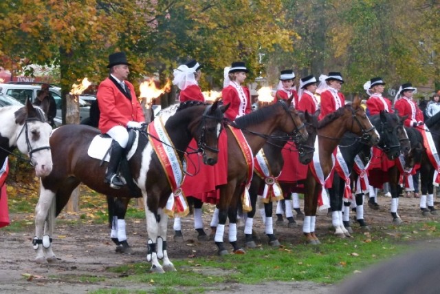 Rozpoczął się Hubertus Spalski 2014. Na początek były polowania i wystawa psów myśliwskich. Jutro pogoń za lisem