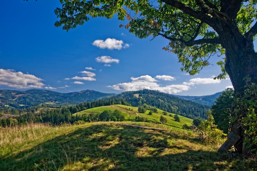 Festiwal DziewięćSił w Wiśle.