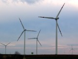 Nowe przepisy dotyczące elektrowni wiatrowych. Będą mogły powstawać bliżej zabudowań