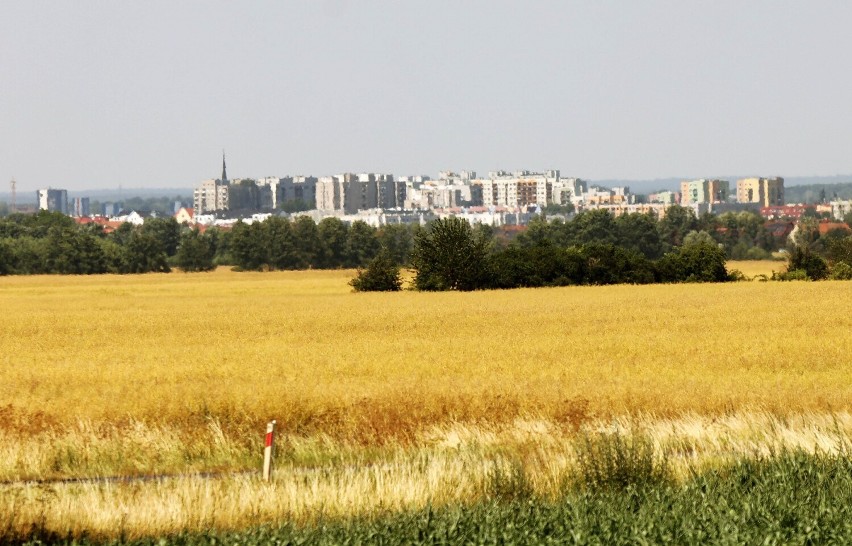 Tak wygląda Legnica widziana z wysokości Koskowic, zobaczcie zdjęcia