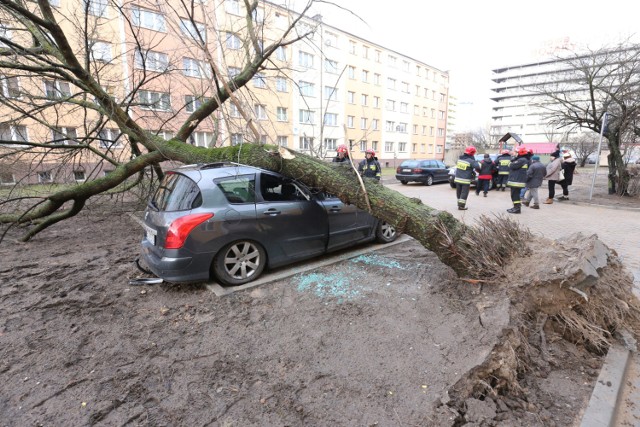750 domów bez prądu, połamane drzewa i zniszczone budynki. To efekt orkanu Barbara w Warszawie